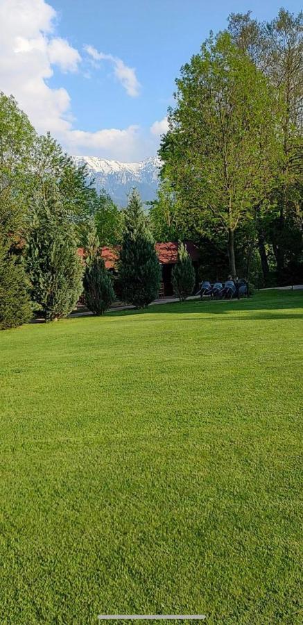 Garden Retreat Junior (Adults Only) Hotell Bran  Exteriör bild